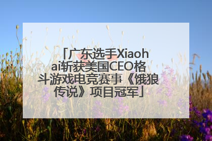 广东选手Xiaohai斩获美国CEO格斗游戏电竞赛事《饿狼传说》项目冠军