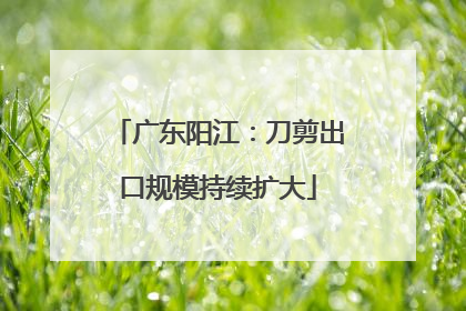 广东阳江：刀剪出口规模持续扩大