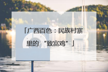 广西百色：民族村寨里的 “致富鸡”