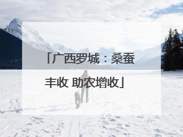 广西罗城：桑蚕丰收 助农增收