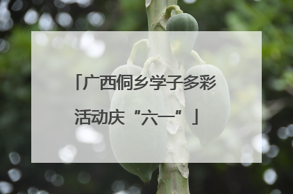 广西侗乡学子多彩活动庆“六一”