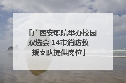 广西安职院举办校园双选会 14市消防救援支队提供岗位