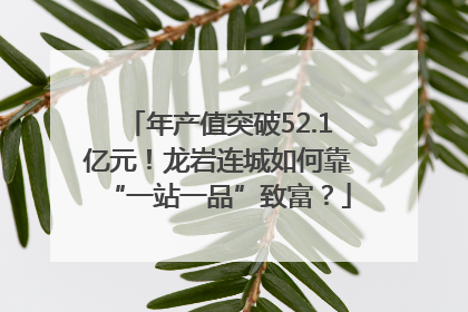 年产值突破52.1亿元！龙岩连城如何靠“一站一品”致富？