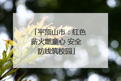 平顶山市：红色薪火燃童心 安全防线筑校园