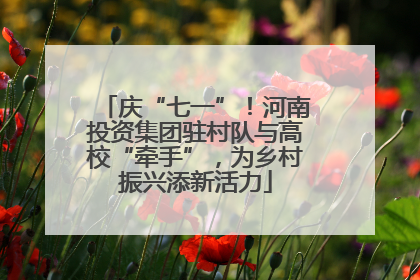 庆“七一”！河南投资集团驻村队与高校“牵手”，为乡村振兴添新活力