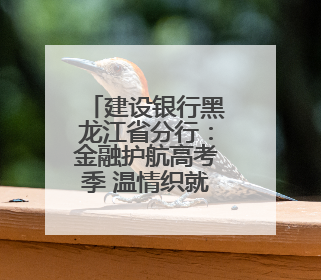 建设银行黑龙江省分行：金融护航高考季 温情织就梦想路