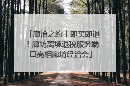 廊洽之约丨即买即退！廊坊离境退税服务端口亮相廊坊经洽会