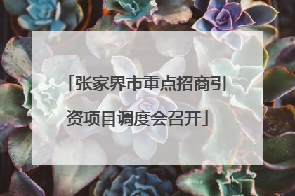 张家界市重点招商引资项目调度会召开