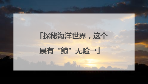 探秘海洋世界，这个展有“鲸”无险→