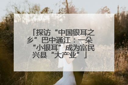 探访“中国银耳之乡”巴中通江：一朵“小银耳”成为富民兴县“大产业”