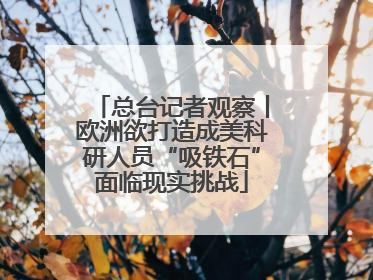 总台记者观察丨欧洲欲打造成美科研人员“吸铁石”面临现实挑战
