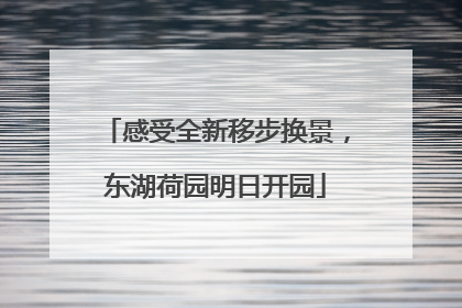 感受全新移步换景，东湖荷园明日开园
