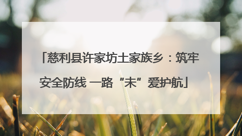 慈利县许家坊土家族乡：筑牢安全防线 一路“未”爱护航