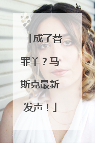成了替罪羊？马斯克最新发声！