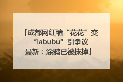 成都网红墙“花花”变“labubu”引争议 最新：涂鸦已被抹掉