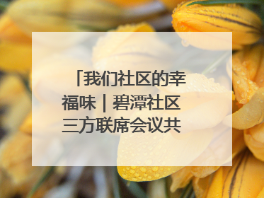 我们社区的幸福味｜碧潭社区三方联席会议共建紫岫幸福家
