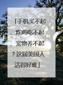 手机买不起、炸鸡吃不起、宠物养不起？这届美国人活得好难