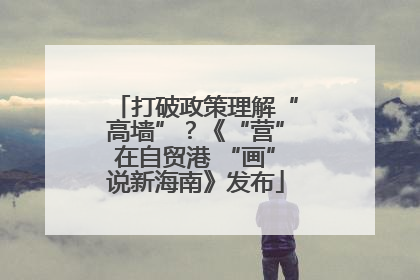 打破政策理解“高墙”？《“营”在自贸港 “画”说新海南》发布