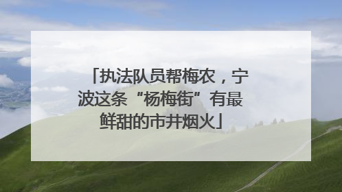 执法队员帮梅农，宁波这条“杨梅街”有最鲜甜的市井烟火