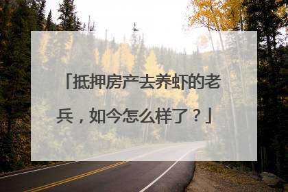 抵押房产去养虾的老兵，如今怎么样了？