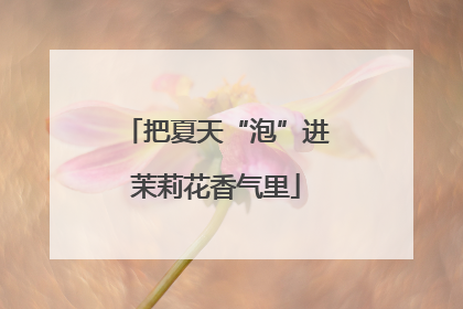把夏天“泡”进茉莉花香气里