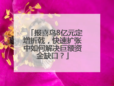 报喜鸟8亿元定增折戟，快速扩张中如何解决巨额资金缺口？