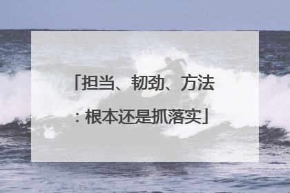 担当、韧劲、方法：根本还是抓落实