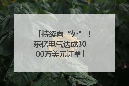 持续向“外”！东亿电气达成3000万美元订单