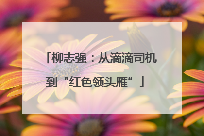 柳志强：从滴滴司机到“红色领头雁”