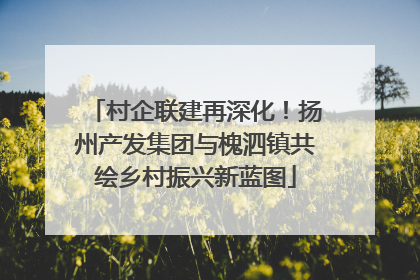 村企联建再深化！扬州产发集团与槐泗镇共绘乡村振兴新蓝图