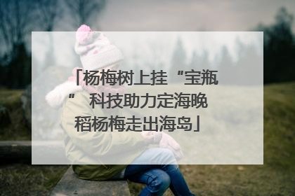 杨梅树上挂“宝瓶” 科技助力定海晚稻杨梅走出海岛