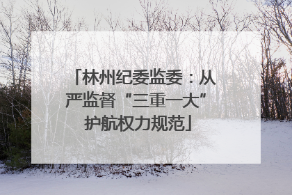 林州纪委监委：从严监督“三重一大” 护航权力规范