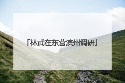 林武在东营滨州调研