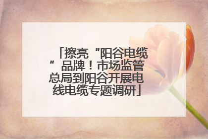 擦亮“阳谷电缆”品牌！市场监管总局到阳谷开展电线电缆专题调研