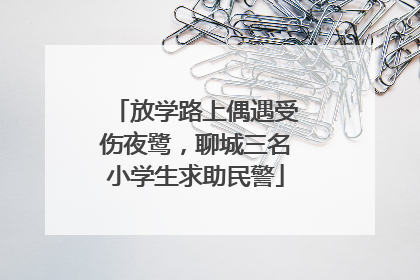 放学路上偶遇受伤夜鹭，聊城三名小学生求助民警