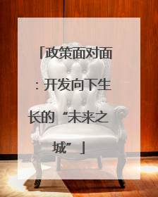 政策面对面：开发向下生长的“未来之城”