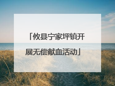 攸县宁家坪镇开展无偿献血活动