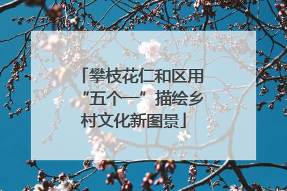 攀枝花仁和区用“五个一”描绘乡村文化新图景
