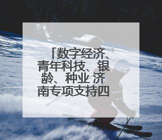 数字经济、青年科技、银龄、种业 济南专项支持四个细分领域人才队伍建设