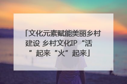 文化元素赋能美丽乡村建设 乡村文化IP“活”起来“火”起来