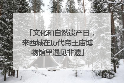 文化和自然遗产日，来西城在历代帝王庙博物馆里遇见非遗