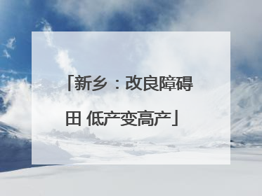 新乡：改良障碍田 低产变高产
