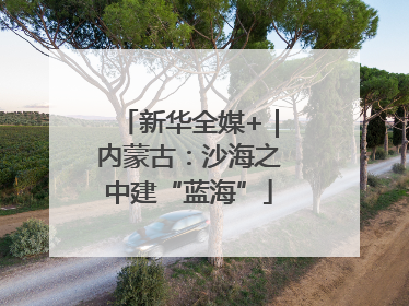 新华全媒+｜内蒙古：沙海之中建“蓝海”