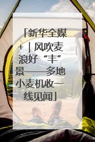 新华全媒+｜风吹麦浪好“丰”景——多地小麦机收一线见闻