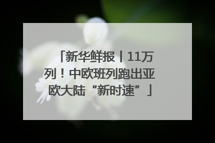 新华鲜报丨11万列！中欧班列跑出亚欧大陆“新时速”