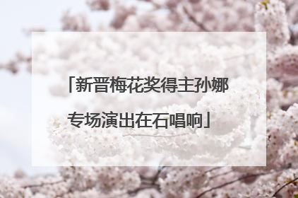 新晋梅花奖得主孙娜专场演出在石唱响