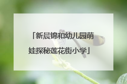 新晨锦和幼儿园萌娃探秘莲花街小学