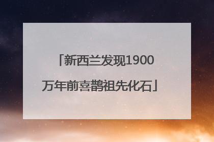 新西兰发现1900万年前喜鹊祖先化石