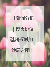 新闻分析｜停火协议谜团折射加沙局之困