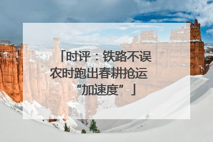 时评：铁路不误农时跑出春耕抢运“加速度”